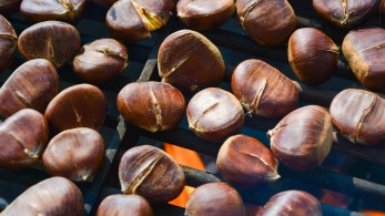 Γρηγόρης Ψαριανός: Κάστανα και κάρβουνα