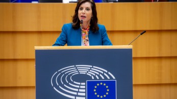 Ασημακοπούλου: Δεν αναμένεται άρση της ασυλίας Γεωργούλη πριν τις εκλογές