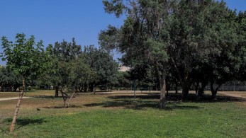 Δήμος Αθηναίων: Πρωτότυπο πικ νικ στην Ακαδημία Πλάτωνος την Πρωτομαγιά