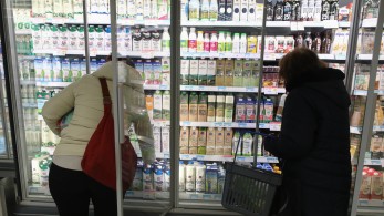 «Kαλάθι του Nοικοκυριού»: Σταθερές ή μειωμένες οι τιμές για την πλειοψηφία των προϊόντων