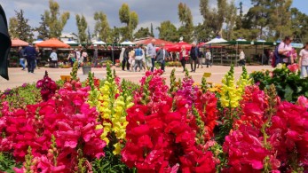 Οι δήμοι μετατρέπουν την Αττική σε πρωτομαγιάτικο κήπο