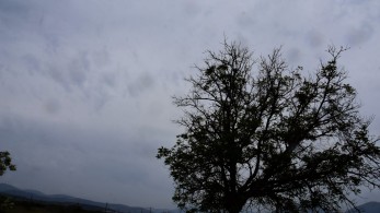 Καιρός: Βροχές και καταιγίδες – Έως 23 βαθμούς η θερμοκρασία