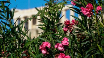 Ξενοδοχεία: στο 63,7% η μέση πληρότητα στην Αθήνα στο α' τετράμηνο