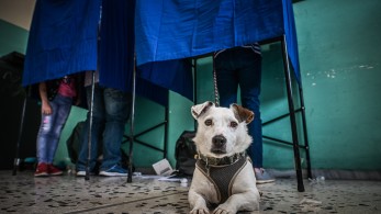 Ψεκασμένοι και υβριστές ροζ αποχρώσεων κατά της κοινωνίας