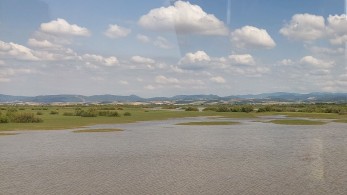 Έβρος: Ολοκληρώθηκε η επιχείρηση διάσωσης - Μεταφέρονται σε κέντρο υποδοχής οι μετανάστες