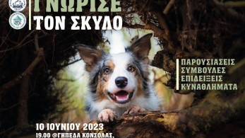 «Γνώρισε τον σκύλο»: Η πανέμορφη εκδήλωση στη Σαλαμίνα για τους τετράποδους φίλους μας