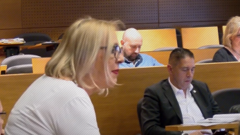 Απίστευτη δήλωση υποψήφιας του ΣΥΡΙΖΑ: «εθνικιστικές σάλτσες» το ψήφισμα για τον Μπελέρη