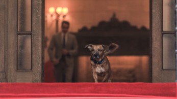 Μητσοτάκης: χαλαρά παιχνίδια με τον Peanut στο περιθώριο της συνέντευξης στο Bloomberg (φωτό)