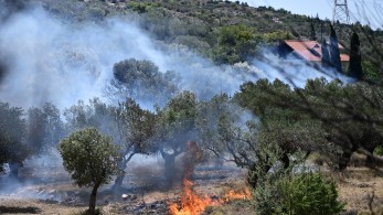 Οι πυροσβέστες του καναπέ