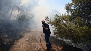 Αναζωπύρωση της φωτιάς στη Μάνδρα - Μήνυμα του 112 για εκκένωση τριών οικισμών