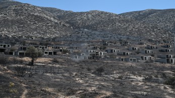 Φωτιές - Μεσσηνία: συνελήφθη 30χρονος - ομολόγησε τρεις εμπρησμούς Φωτιές - Μεσσηνία: συνελήφθη 30χρονος - ομολόγησε τρεις εμπρησμούς