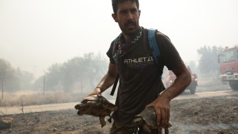 Καταστροφικές οι πυρκαγιές και για την ψυχική μας υγεία