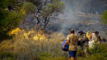 Φωτιές: Ολονύχτια μάχη των πυροσβεστών στη Ρόδο - Χωρίς ενεργό μέτωπο Δ. Αττική και Λουτράκι Φωτιές: Ολονύχτια μάχη των πυροσβεστών στη Ρόδο - Χωρίς ενεργό μέτωπο Δ. Αττική και Λουτράκι