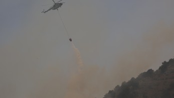 Φωτιά στα Αργυραίικα Πηλίου - Μάχη για να τεθεί υπό έλεγχο