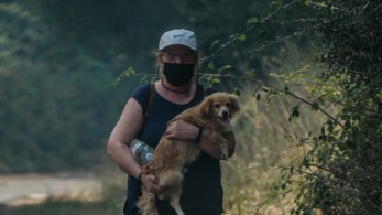 Φωτιές: εκκενώνονται άλλα τρία χωριά στη Ρόδο - Μήνυμα από το 112 για το Σύκι στην Κέρκυρα