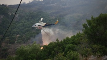 Νέα φωτιά στην Εύβοια - Δύο ενεργά μέτωπα στην Κέρκυρα