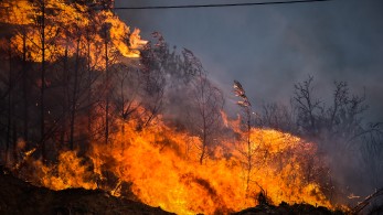 Φωτιές: μάχη στη Μαγνησία - Aναζωπυρώσεις σε Κάρυστο και Ρόδο