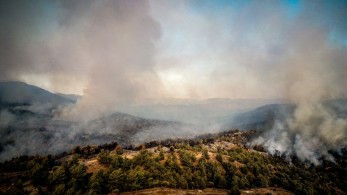 Φωτιές - Πυροσβεστική: σε ύφεση η δασική πυρκαγιά στο Λευκόχωμα Λακωνίας Φωτιές - Πυροσβεστική: σε ύφεση η δασική πυρκαγιά στο Λευκόχωμα Λακωνίας