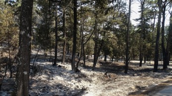 Εκτός ελέγχου η πυρκαγιά στη Ρόδο: Νέο μήνυμα του 112 για να εκκενωθούν Ασκληπιείο και Κιοτάρι