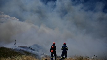 Λέκκας: Kίνδυνος ερημοποίησης της Αττικής από τις συνεχείς πυρκαγιές