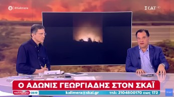 Άδωνις Γεωργιάδης: Η Επιθεώρηση Εργασίας είναι σήμερα στον δρόμο και κάνει ελέγχους