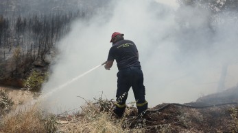 Φωτιές - Πυροσβεστικό Σώμα: 66 πυρκαγιές το τελευταίο 24ωρο - οι περισσότερες αντιμετωπίστηκαν άμεσα Φωτιές - Πυροσβεστικό Σώμα: 66 πυρκαγιές το τελευταίο 24ωρο - οι περισσότερες αντιμετωπίστηκαν άμεσα