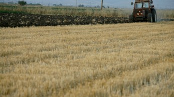 ΕΛΣΤΑΤ: αύξηση 30,6% στα αγροτικά εισοδήματα τον Ιούνιο