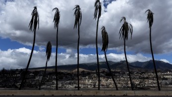 ΗΠΑ - Χαβάη: στους 101 οι νεκροί από τις φονικές φωτιές -1.300 οι αγνοούμενοι