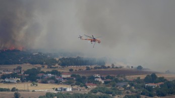 Αλεξανδρούπολη: συνεχίζεται η μάχη με τις φλόγες