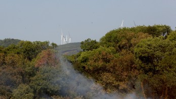 Φωτιά στην Αλεξανδρούπολη: μεγάλη αναζωπύρωση στη Νίψα