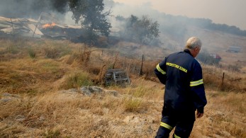 Φωτιές: συνεχίζεται η μάχη με τις φλόγες στον Έβρο