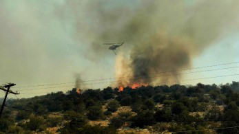 Φωτιά στη Βοιωτία: νεκρός κτηνοτρόφος - Μεγάλο το μέτωπο