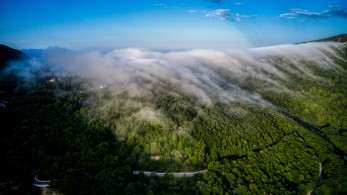 Οι διακοπές των δελφίνων στο βουνό δημιουργούν υποψίες συνεργασιών