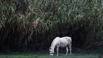 Yπουργείο Αγροτικής Ανάπτυξης: Εγκρίθηκαν οι πρώτες αιτήσεις για τον «Πράσινο Αγροτουρισμό»