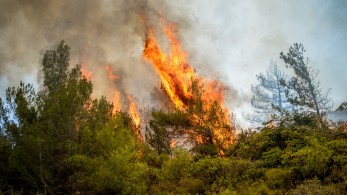 Ενισχύθηκαν οι δυνάμεις στη δασική πυρκαγιά στην Αρδεία Ροδόπης
