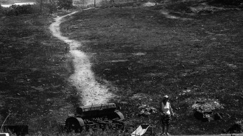 Φωτιές: χωρίς ενεργά μέτωπα στη Μαγνησία - Κάηκαν 50.000 στρέμματα γης