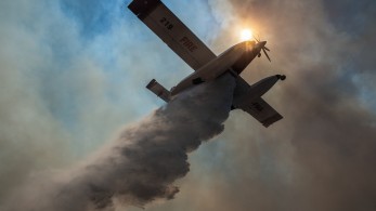 Συνεχίζεται η μάχη με τις φλόγες σε Έβρο και Άνδρο - Βελτιωμένη εικόνα σε Βοιωτία και Φθιώτιδα Συνεχίζεται η μάχη με τις φλόγες σε Έβρο και Άνδρο - Βελτιωμένη εικόνα σε Βοιωτία και Φθιώτιδα