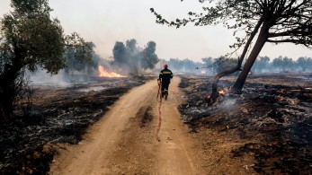 Φωτιές: αναζητούνται δύο ύποπτοι για εμπρησμό στην Εύβοια Φωτιές: αναζητούνται δύο ύποπτοι για εμπρησμό στην Εύβοια