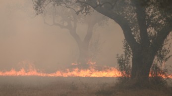 Ροδόπη: βελτιωμένη η κατάσταση στα δύο πύρινα μέτωπα