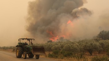 Έβρος: κάηκαν πολλά ζώα και καλλιεργήσιμες εκτάσεις - Ζημιές σε υποδομές