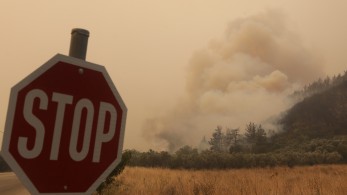 Φωτιές: με αντιπυρικές ζώνες συνεχίζεται η μάχη στον Έβρο