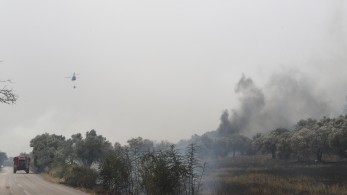 Μαίνεται η φωτιά στην Αλεξανδρούπολη - Ασθενέστεροι σήμερα οι άνεμοι