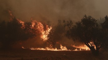 Νέες φωτιές σε Λέσβο και Χαλκιδική - Υπό μερικό έλεγχο στα Καλύβια