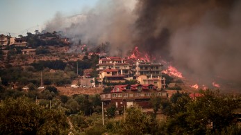 Meteo: Πώς θα κινηθεί η φωτιά στην Πάρνηθα - Χαρακτηρίζεται «οπισθοδρομούσα»