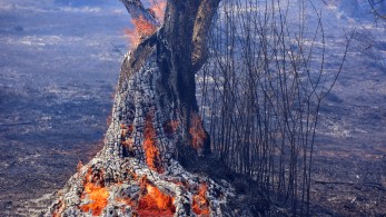 Μικροκομματικά παιχνίδια με τις φωτιές ακόμα να καίνε Μικροκομματικά παιχνίδια με τις φωτιές ακόμα να καίνε