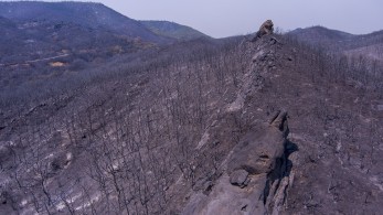 Αλεξανδρούπολη: για απόπειρα εμπρησμού παραπέμπονται οι 13 μετανάστες Αλεξανδρούπολη: για απόπειρα εμπρησμού παραπέμπονται οι 13 μετανάστες