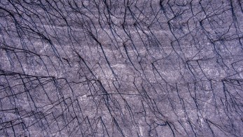 Περί πρόληψης, ανέμων, υδάτων και άλλων δαιμονίων