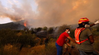 Φωτιές: σκληρή μάχη στη Βοιωτία -Ανησυχία για το μέτωπο του Έβρου