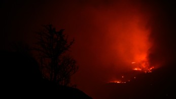 Φληναφήματα αρχολίπαρων Φληναφήματα αρχολίπαρων