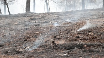 Αρχίζει αύριο η υποβολή αιτήσεων οικονομικής ενίσχυσης των πυρόπληκτων του Δήμου Αλεξανδρούπολης Αρχίζει αύριο η υποβολή αιτήσεων οικονομικής ενίσχυσης των πυρόπληκτων του Δήμου Αλεξανδρούπολης